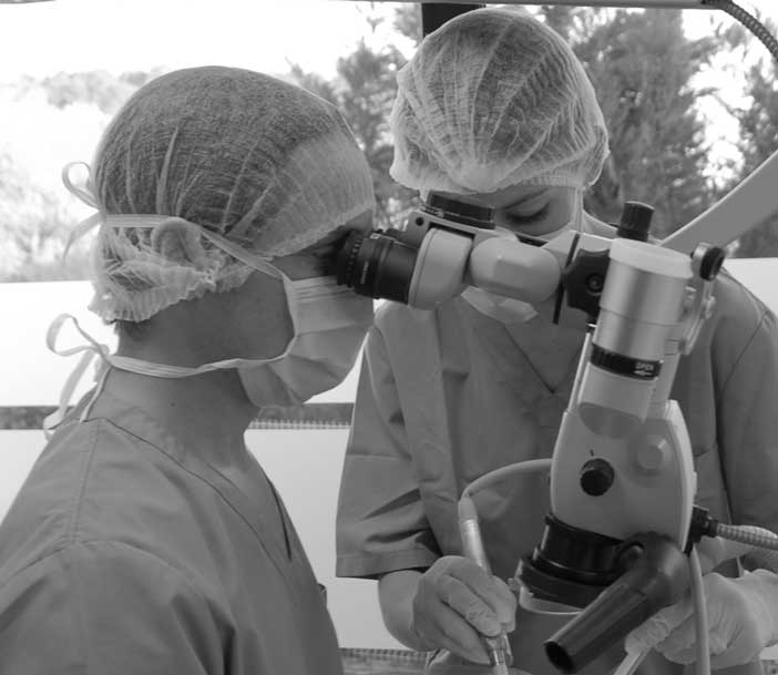 Le LASER Er-Yag est un outil ultra-précis de microchirurgie qui nécessite l’utilisation d’aides optiques 3,5X sous un bon éclairage pour une application clinique optimale des effets micro-ablatifs.